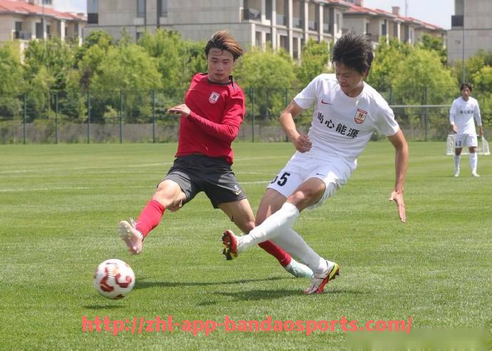 半岛体育app-法甲球队财务健康状况及未来投资规划