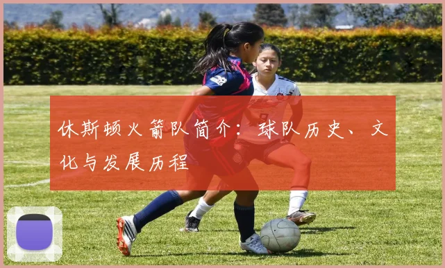 休斯顿火箭队简介：球队历史、文化与发展历程