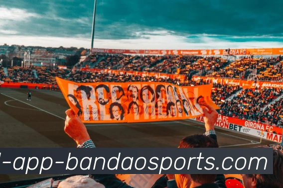 半岛体育APP 高清赛事图